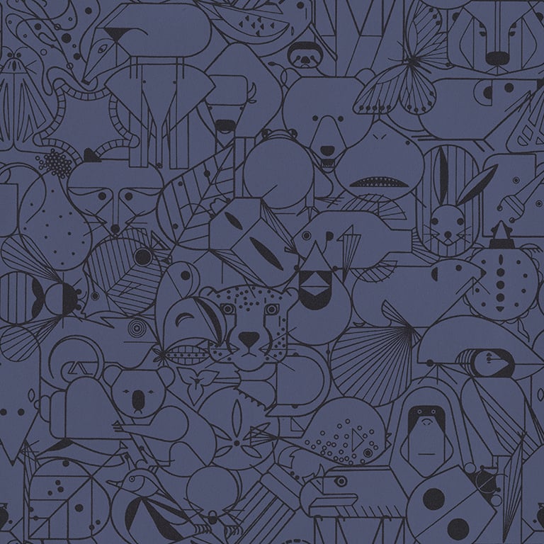 beguiled-by-the-wild-Fin Whale B10