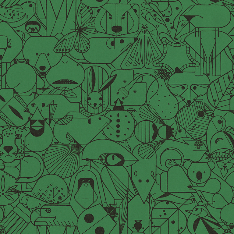 beguiled-by-the-wild-Macaw B12