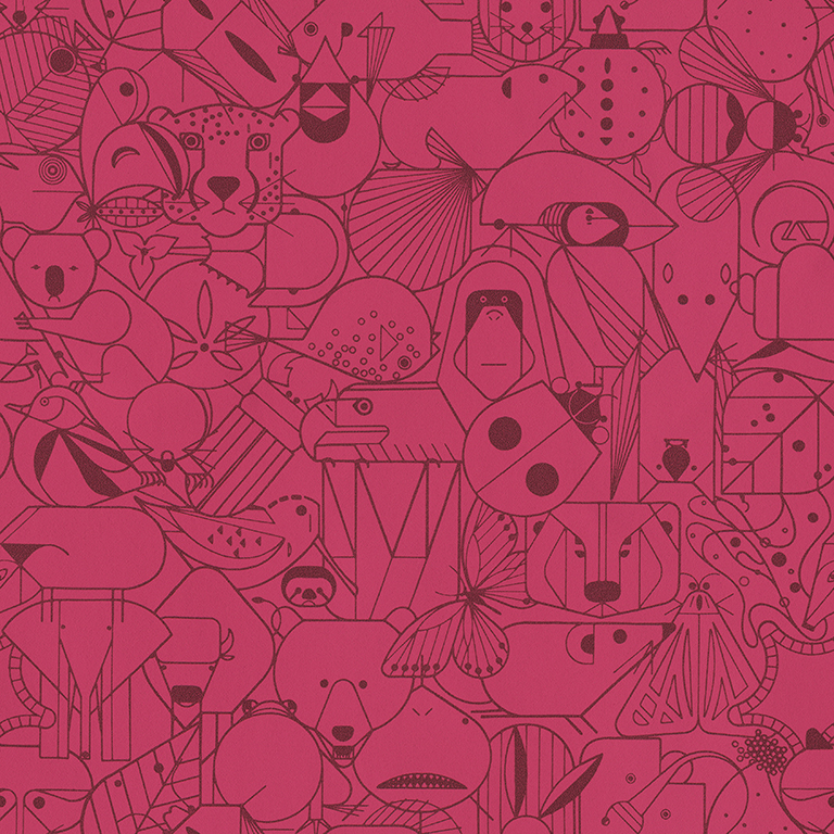 beguiled-by-the-wild-Orchid Mantis B14