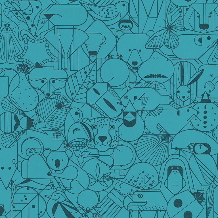 beguiled-by-the-wild-Parakeet B15