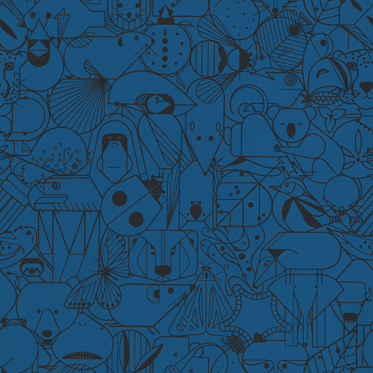 beguiled-by-the-wild-Peacock B16