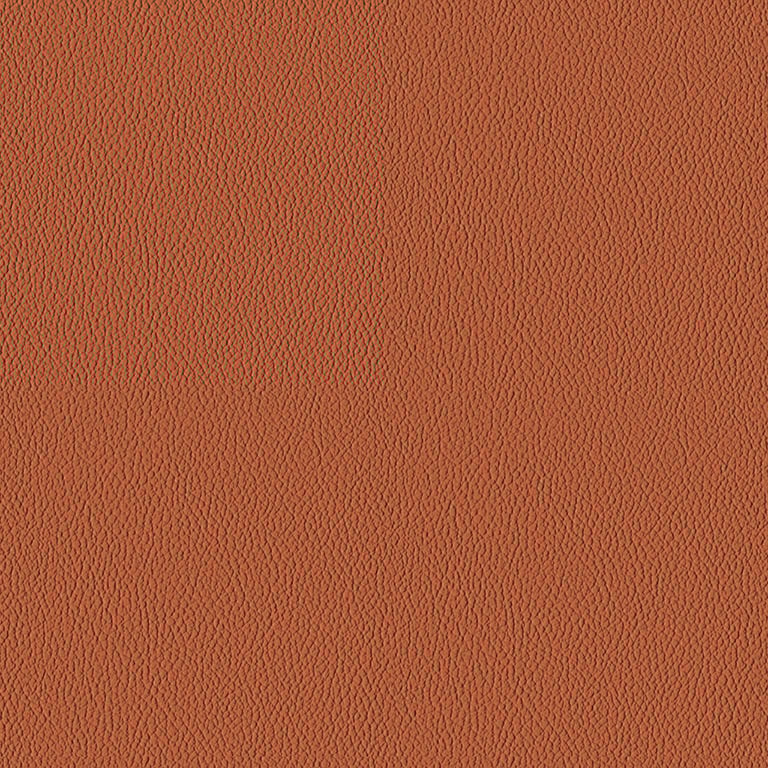 sorano-Nutmeg J28