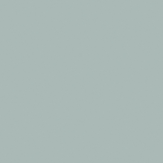 premium_laminate-MB Fossil (WD)