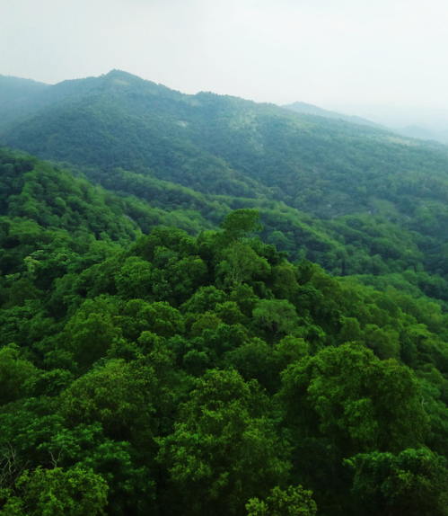 Screenshot 2026-03-03 101445